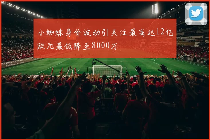 小蜘蛛身价波动引关注最高达12亿欧元最低降至8000万